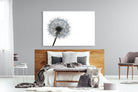 Grey Dandelion-Wall_Art-150 x 100cm-Mounted Canvas-No Frame-Pixalot