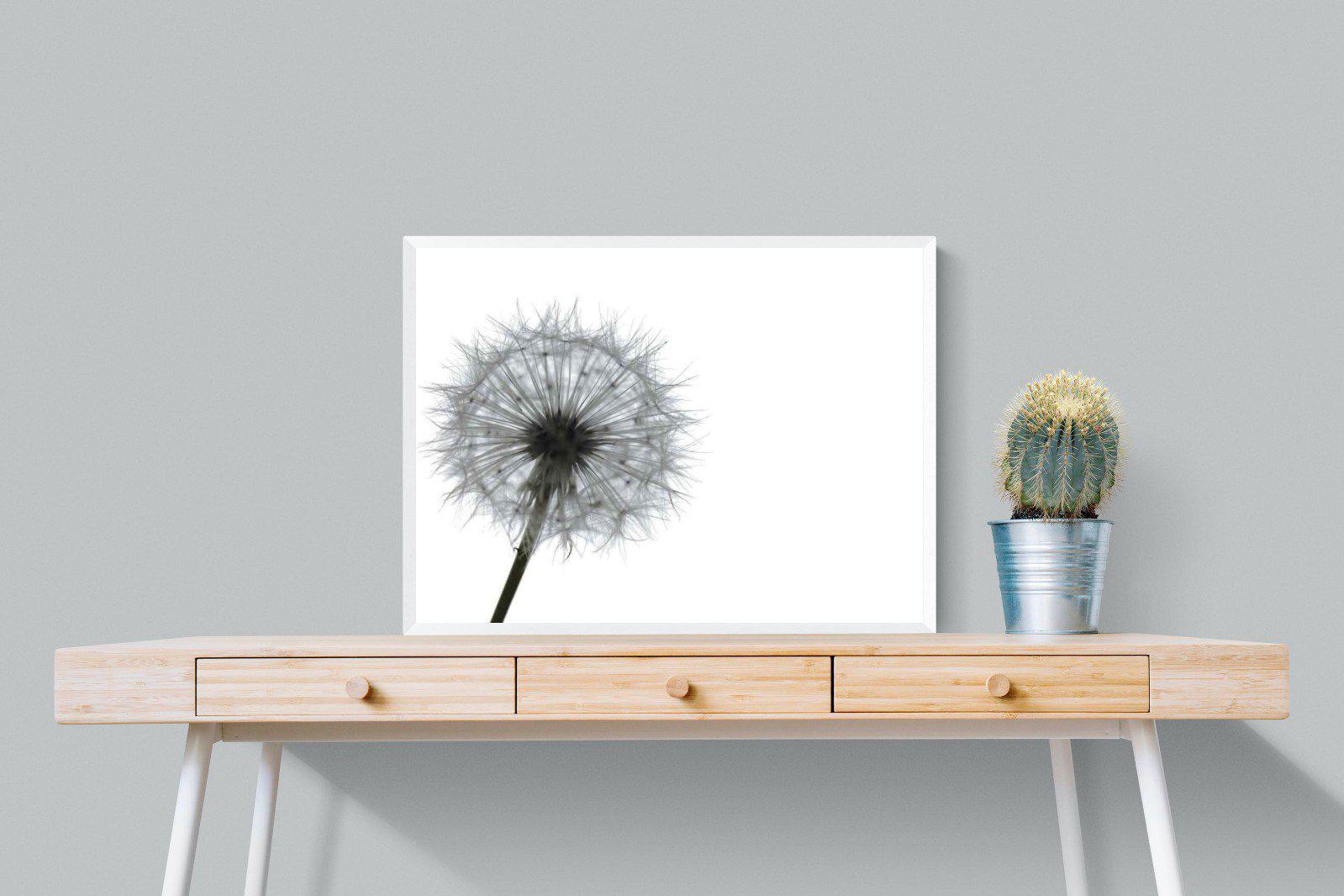 Grey Dandelion-Wall_Art-80 x 60cm-Mounted Canvas-White-Pixalot