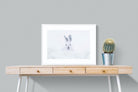 Hare-Wall_Art-80 x 60cm-Framed Print-White-Pixalot