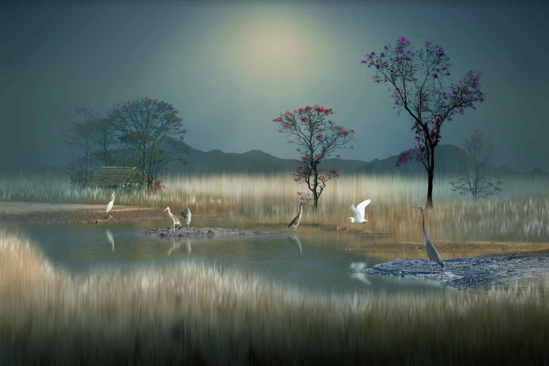 Hidden Calm-Wall_Art-Pixalot