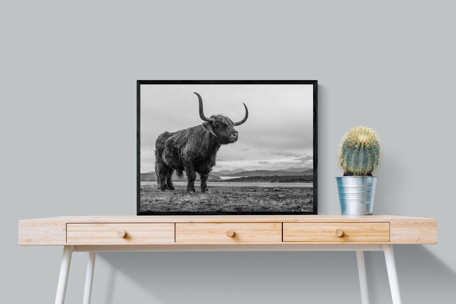 Highland Cow-Wall_Art-80 x 60cm-Mounted Canvas-Black-Pixalot