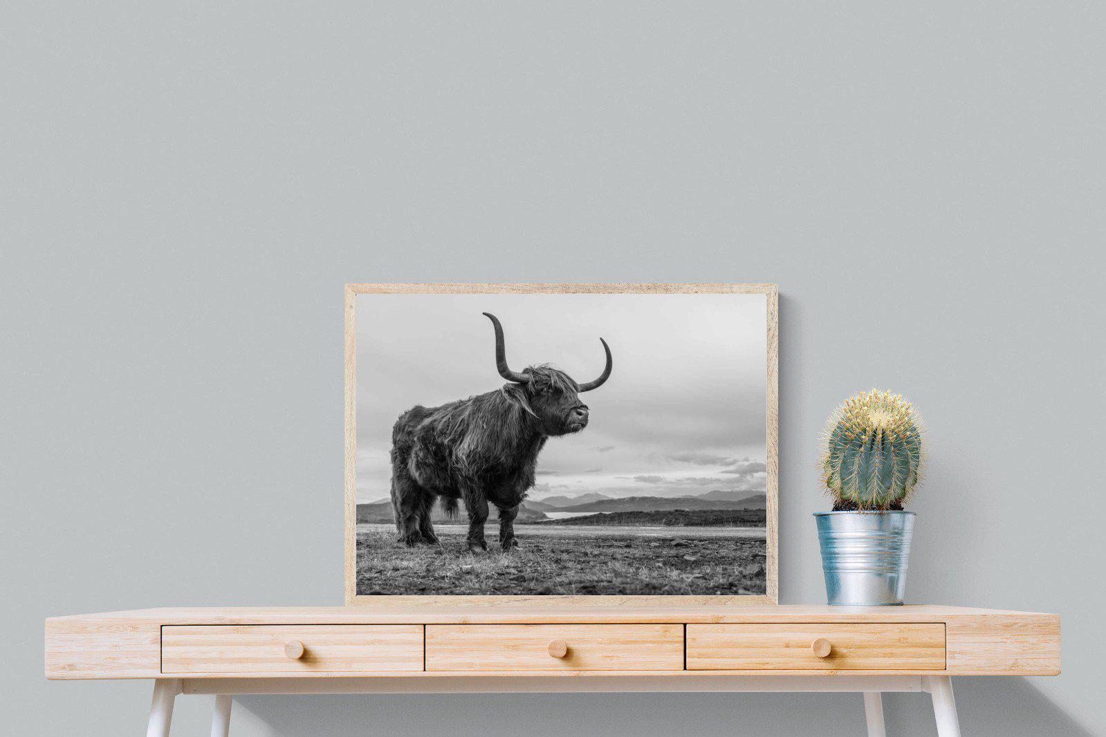 Highland Cow-Wall_Art-80 x 60cm-Mounted Canvas-Wood-Pixalot