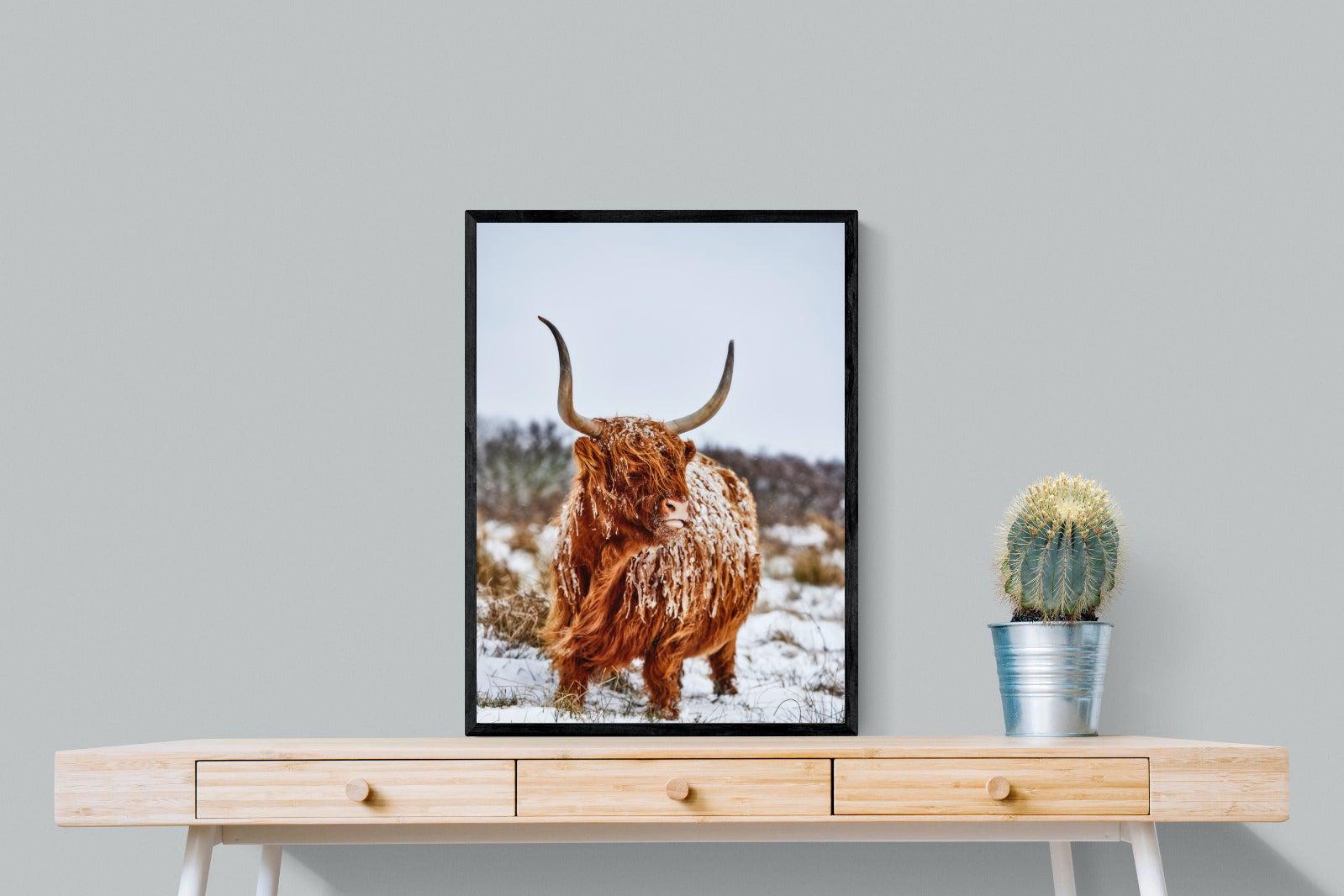 Highlander-Wall_Art-60 x 80cm-Mounted Canvas-Black-Pixalot