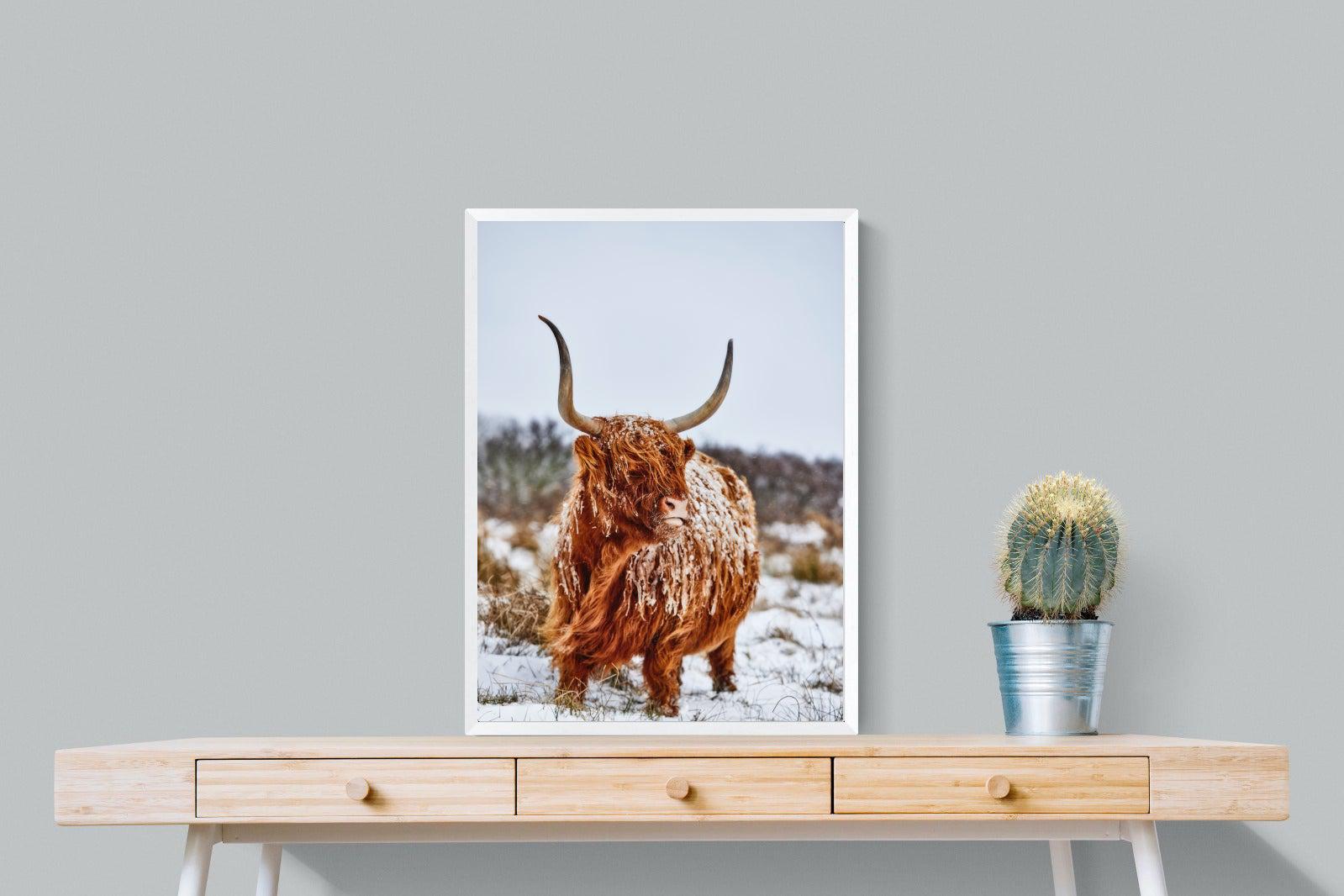 Highlander-Wall_Art-60 x 80cm-Mounted Canvas-White-Pixalot