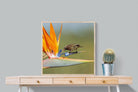 Hummingbird-Wall_Art-80 x 80cm-Mounted Canvas-Wood-Pixalot