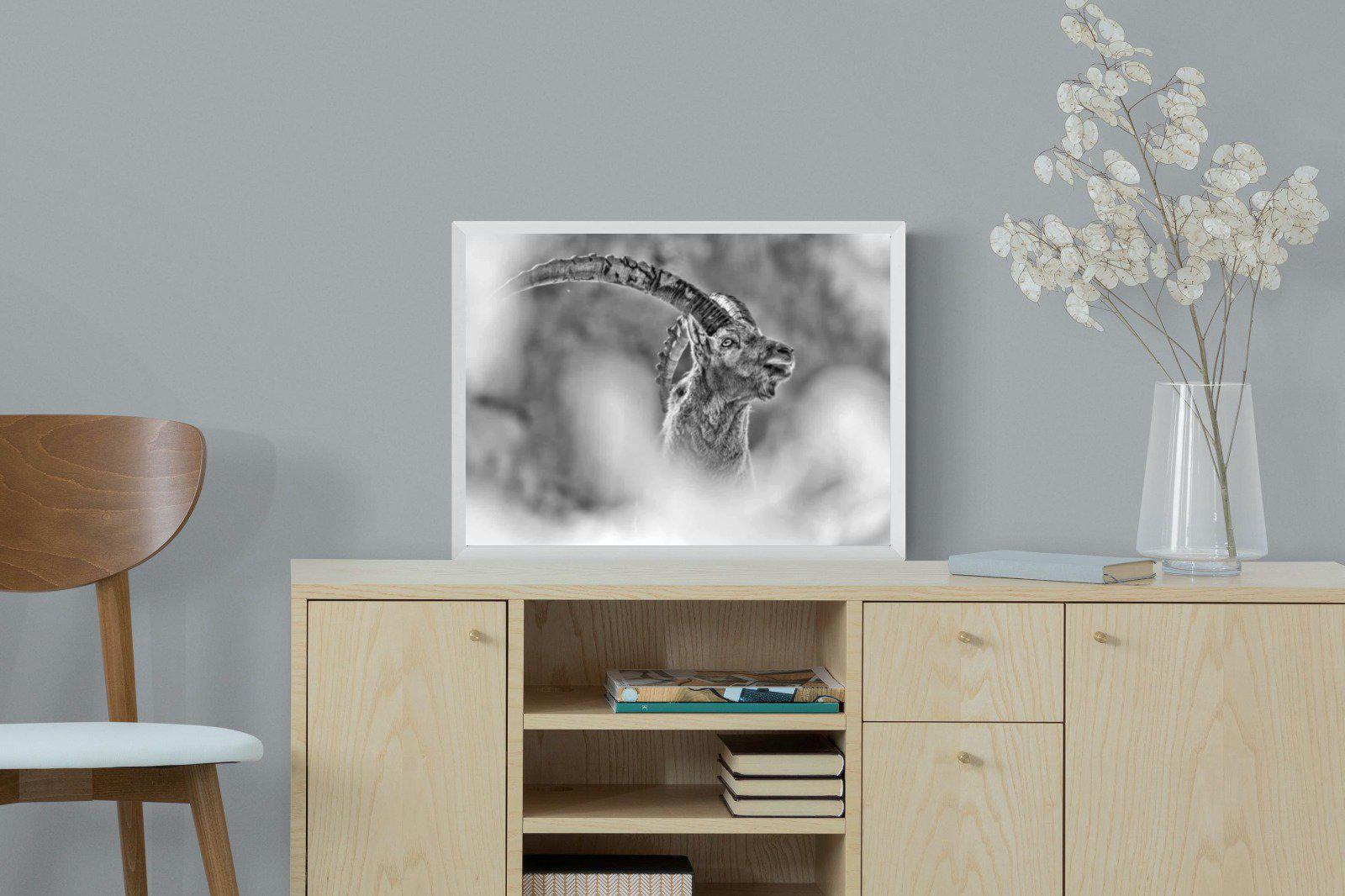 Ibex-Wall_Art-60 x 45cm-Mounted Canvas-White-Pixalot