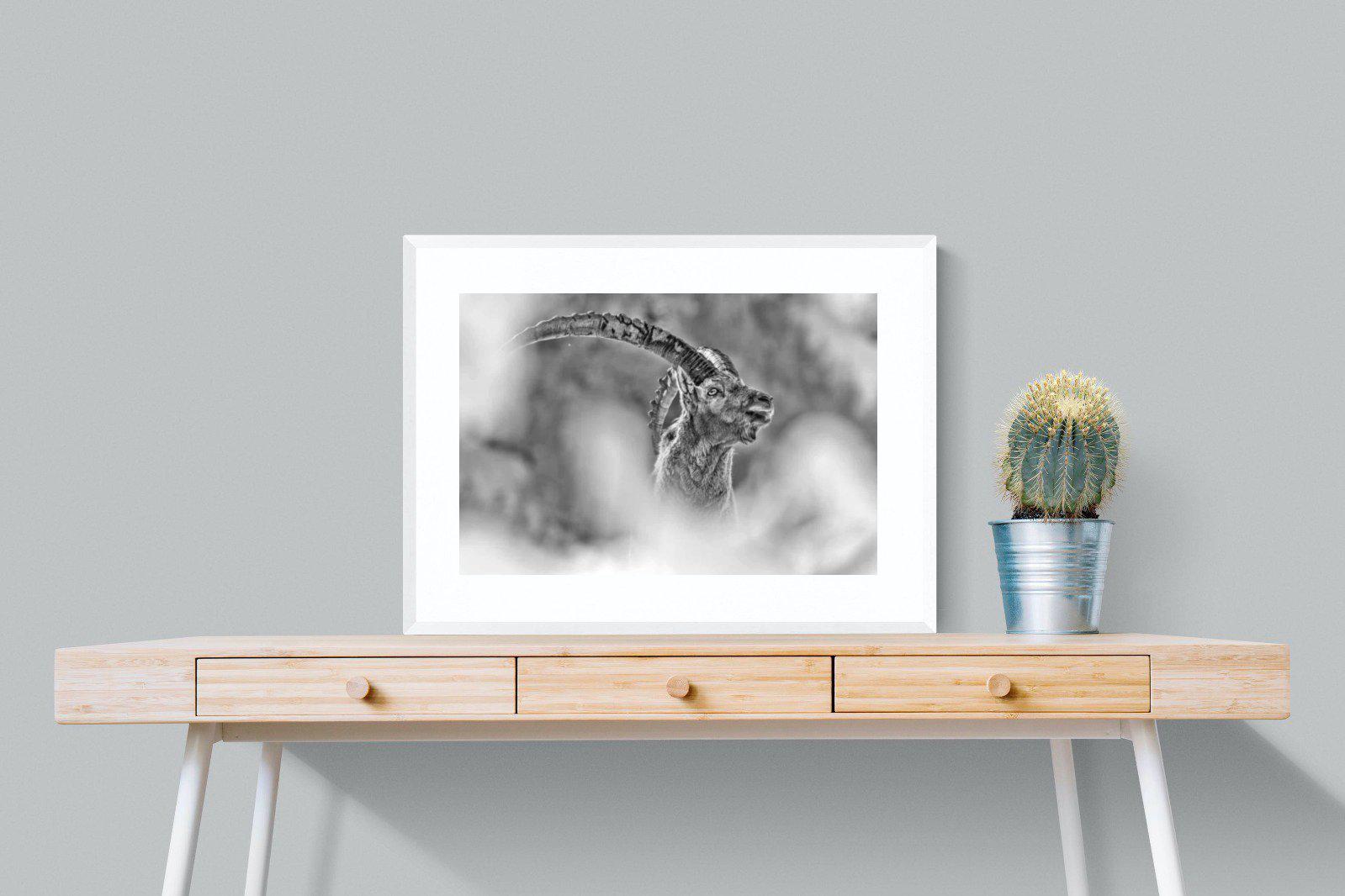 Ibex-Wall_Art-80 x 60cm-Framed Print-White-Pixalot