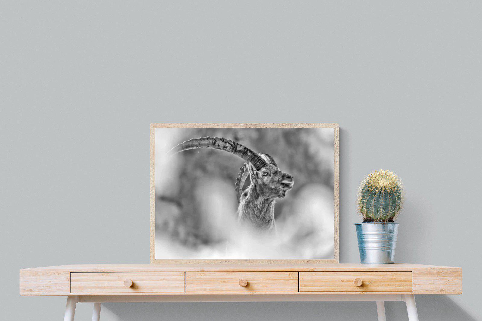 Ibex-Wall_Art-80 x 60cm-Mounted Canvas-Wood-Pixalot