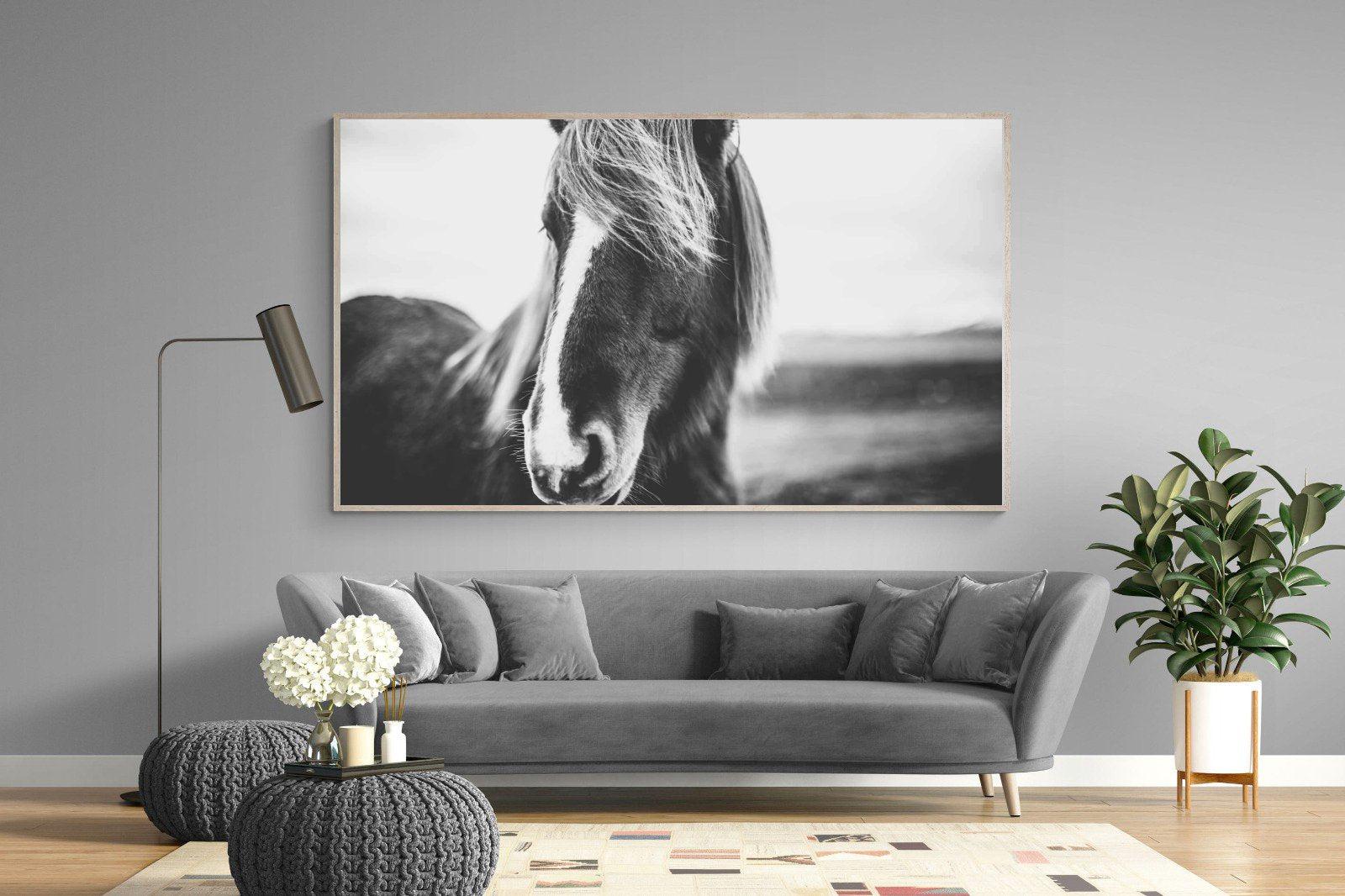 Icelandic Pony-Wall_Art-220 x 130cm-Mounted Canvas-Wood-Pixalot