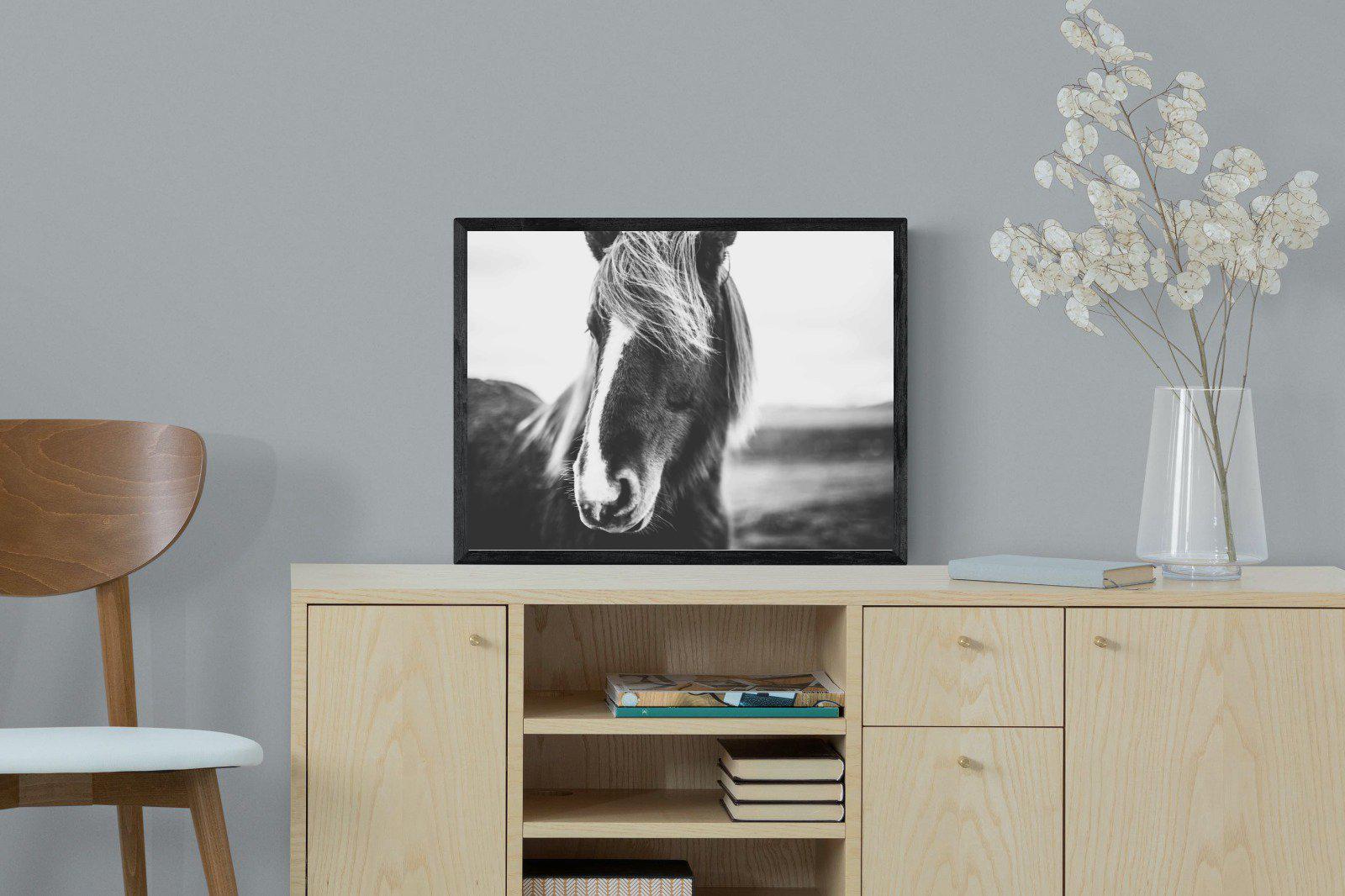 Icelandic Pony-Wall_Art-60 x 45cm-Mounted Canvas-Black-Pixalot