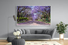 Jacaranda-Wall_Art-220 x 130cm-Mounted Canvas-White-Pixalot