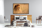 King-Wall_Art-150 x 100cm-Mounted Canvas-Black-Pixalot
