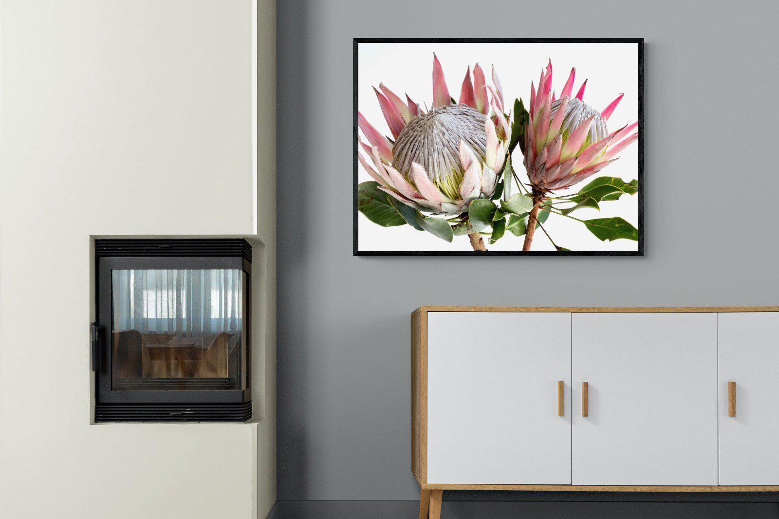 King Proteas-Wall_Art-100 x 75cm-Mounted Canvas-Black-Pixalot
