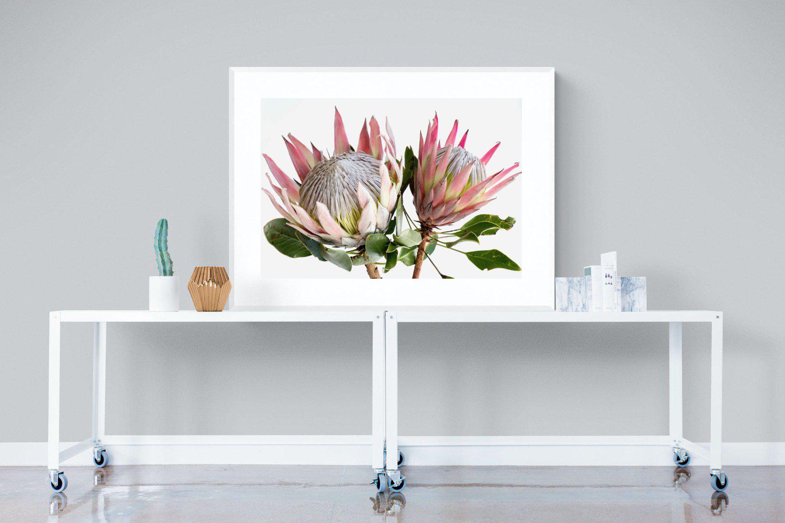 King Proteas-Wall_Art-120 x 90cm-Framed Print-White-Pixalot