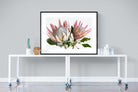 King Proteas-Wall_Art-120 x 90cm-Framed Print-Black-Pixalot