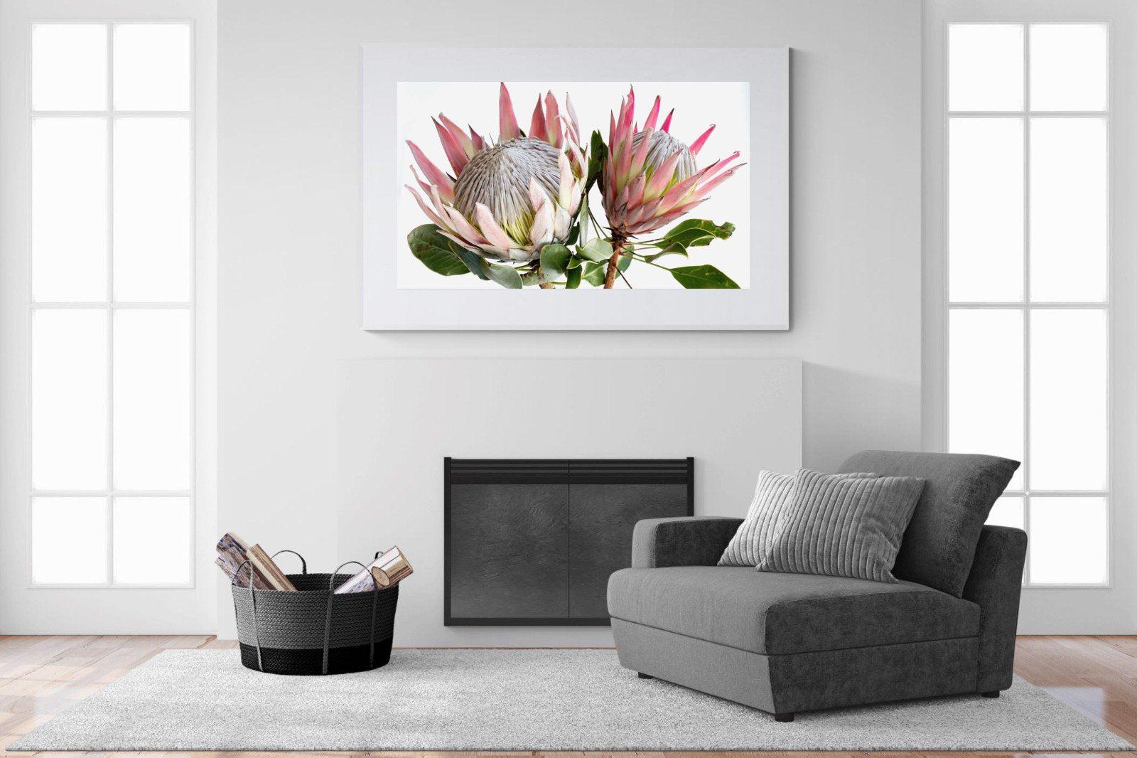 King Proteas-Wall_Art-150 x 100cm-Framed Print-White-Pixalot