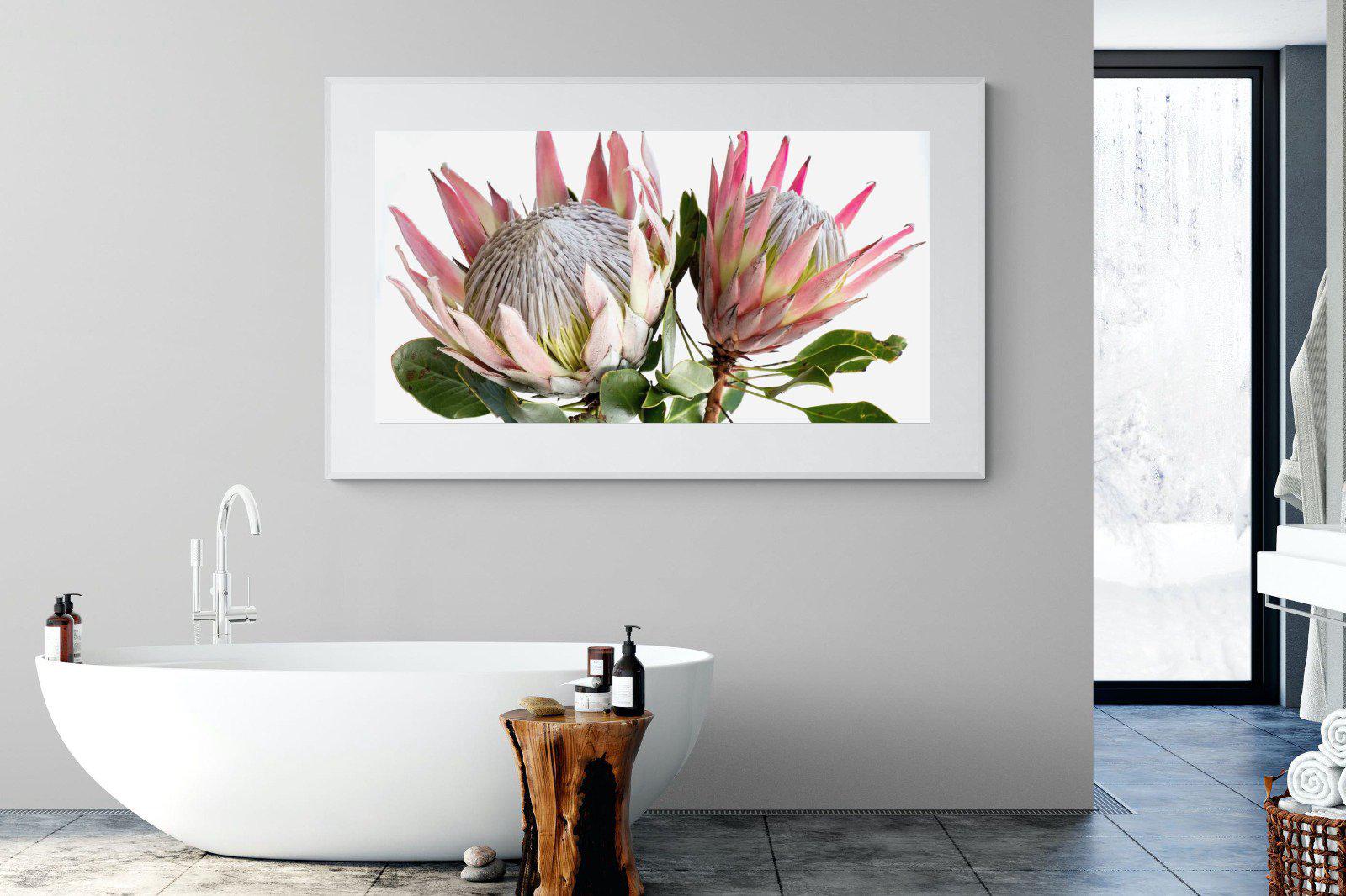 King Proteas-Wall_Art-180 x 110cm-Framed Print-White-Pixalot