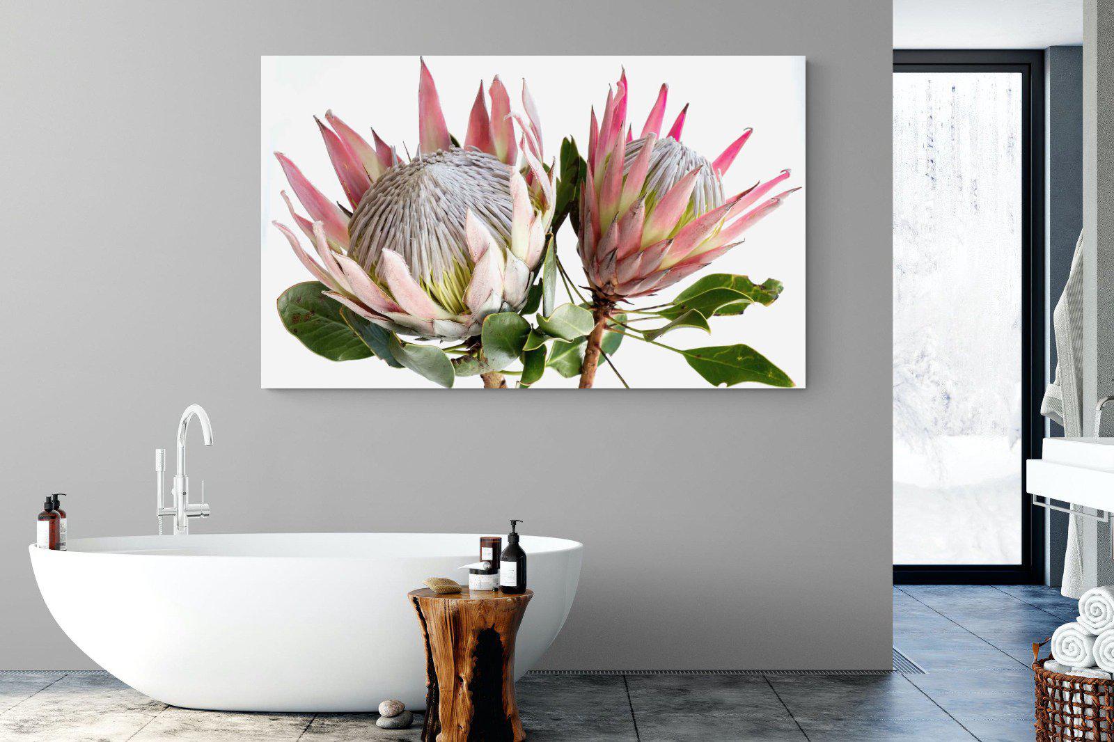 King Proteas-Wall_Art-180 x 110cm-Mounted Canvas-No Frame-Pixalot