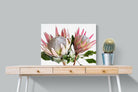 King Proteas-Wall_Art-Pixalot