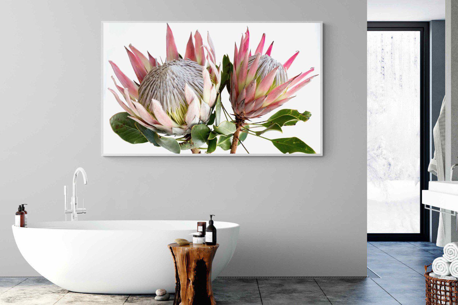 King Proteas-Wall_Art-Pixalot