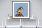 Kingfisher-Wall_Art-120 x 120cm-Framed Print-Black-Pixalot
