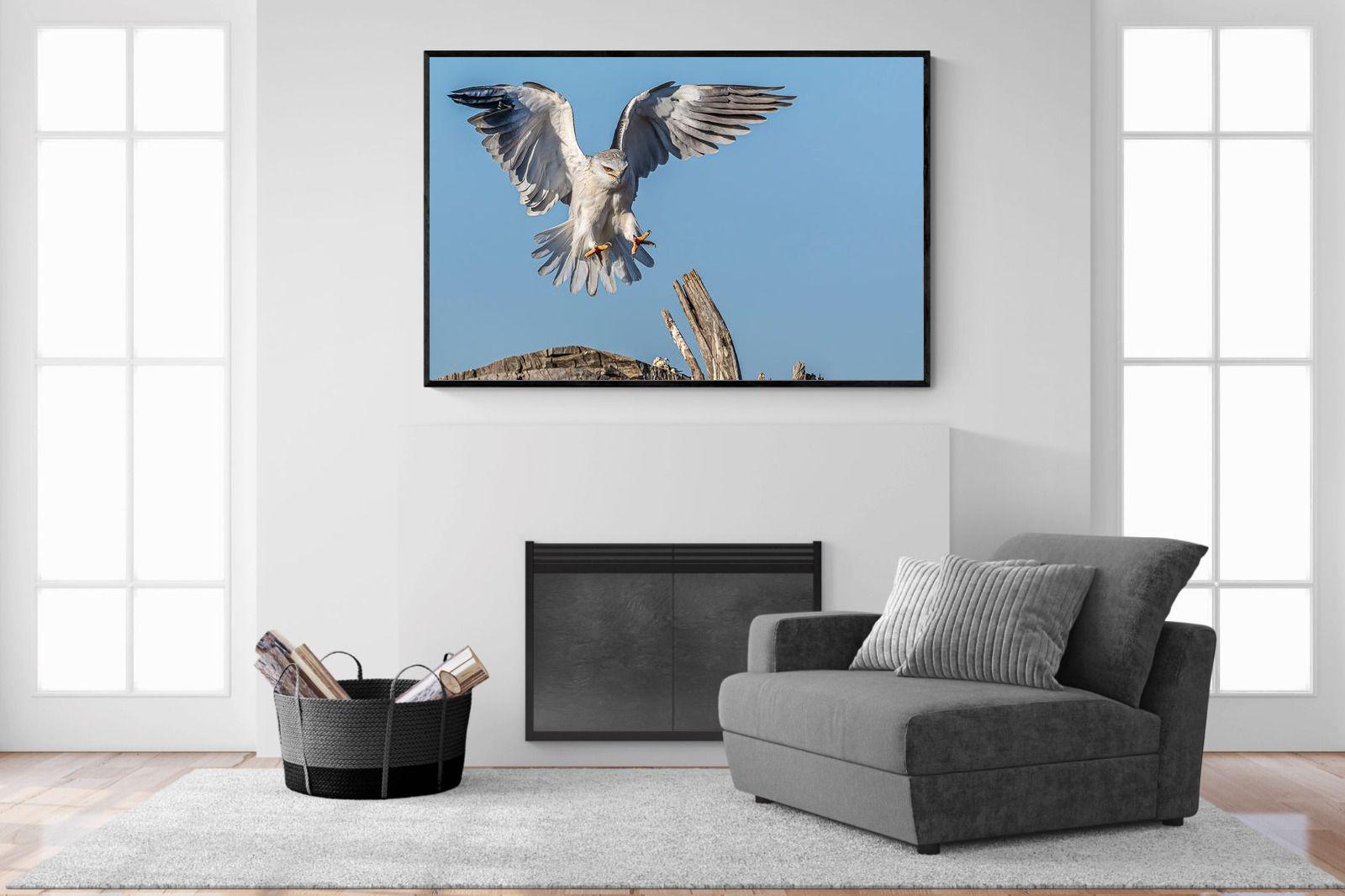 Kite-Wall_Art-150 x 100cm-Mounted Canvas-Black-Pixalot
