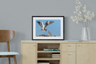 Kite-Wall_Art-60 x 45cm-Framed Print-Black-Pixalot