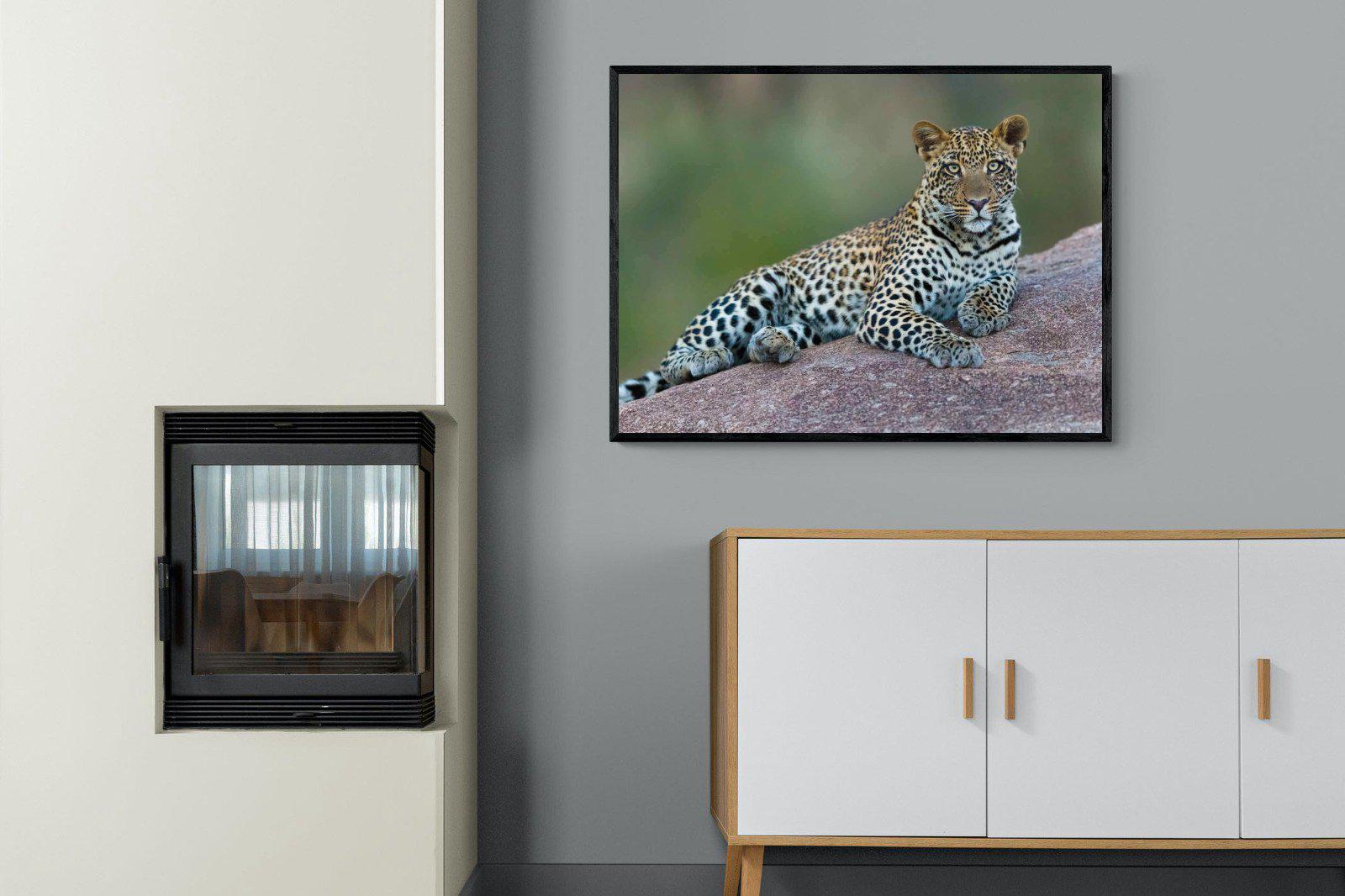 Laying Leopard-Wall_Art-100 x 75cm-Mounted Canvas-Black-Pixalot