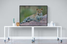 Laying Leopard-Wall_Art-120 x 90cm-Mounted Canvas-Black-Pixalot