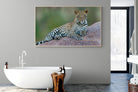 Laying Leopard-Wall_Art-180 x 110cm-Mounted Canvas-Wood-Pixalot