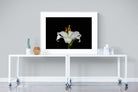 Lilium on Black-Wall_Art-120 x 90cm-Framed Print-White-Pixalot