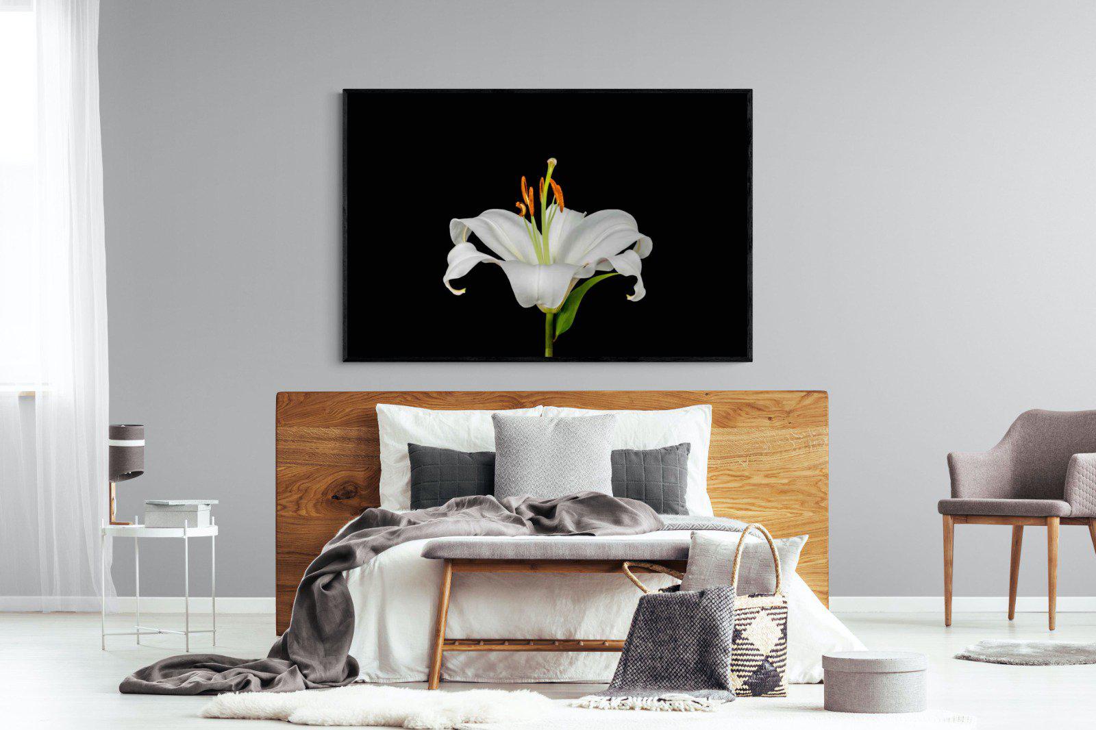 Lilium on Black-Wall_Art-150 x 100cm-Mounted Canvas-Black-Pixalot