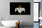Lilium on Black-Wall_Art-180 x 110cm-Mounted Canvas-Black-Pixalot