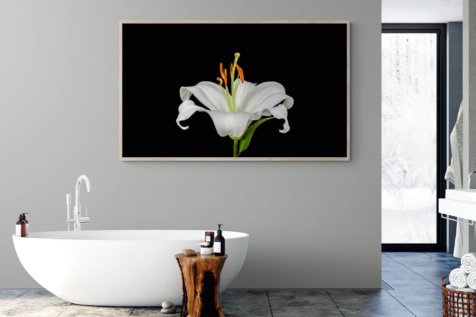 Lilium on Black-Wall_Art-180 x 110cm-Mounted Canvas-Wood-Pixalot