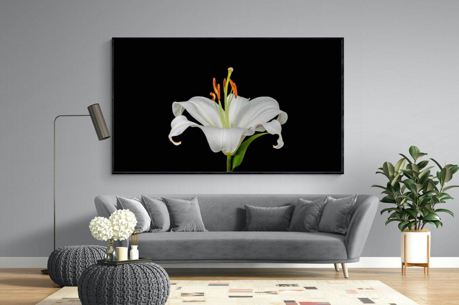 Lilium on Black-Wall_Art-220 x 130cm-Mounted Canvas-Black-Pixalot