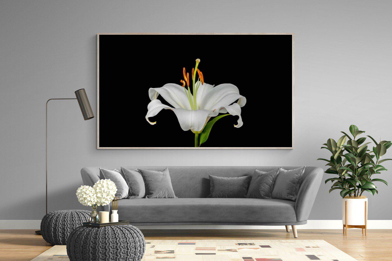 Lilium on Black-Wall_Art-220 x 130cm-Mounted Canvas-Wood-Pixalot