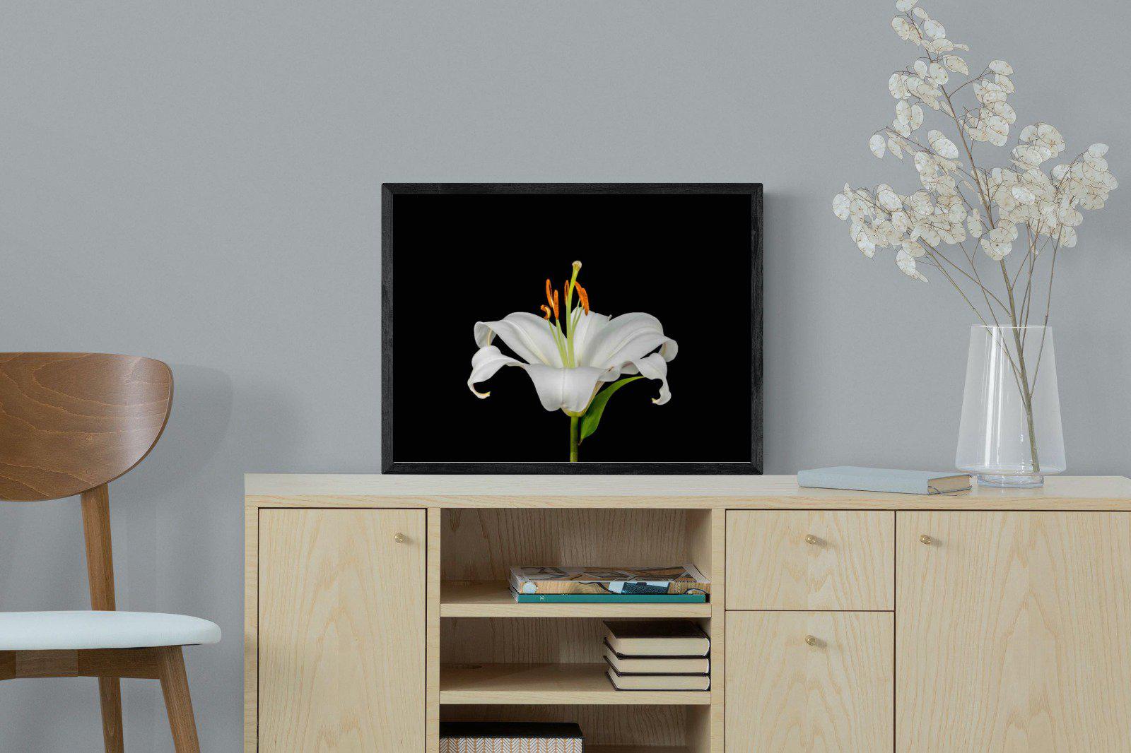 Lilium on Black-Wall_Art-60 x 45cm-Mounted Canvas-Black-Pixalot