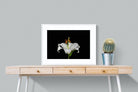 Lilium on Black-Wall_Art-80 x 60cm-Framed Print-White-Pixalot