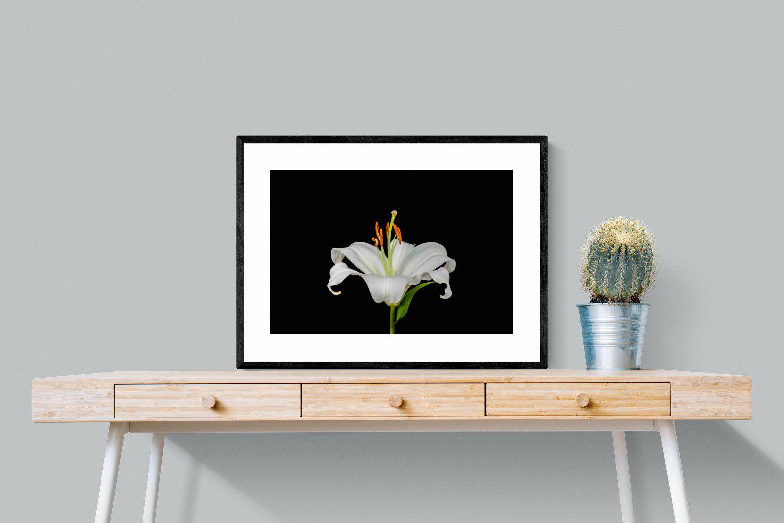 Lilium on Black-Wall_Art-80 x 60cm-Framed Print-Black-Pixalot