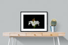 Lilium on Black-Wall_Art-80 x 60cm-Framed Print-Black-Pixalot