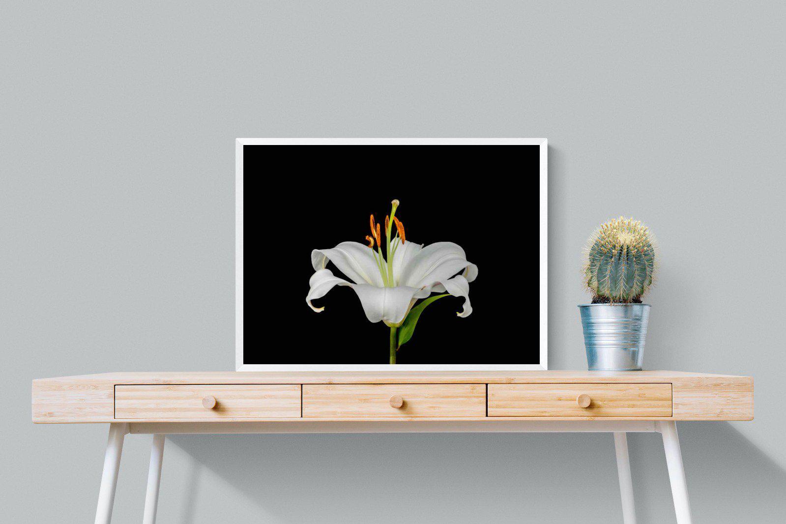 Lilium on Black-Wall_Art-80 x 60cm-Mounted Canvas-White-Pixalot