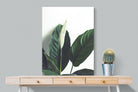 Lily Leaves-Wall_Art-75 x 100cm-Mounted Canvas-No Frame-Pixalot