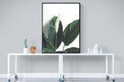 Lily Leaves-Wall_Art-90 x 120cm-Mounted Canvas-Black-Pixalot