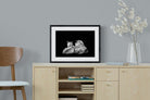 Lion Family-Wall_Art-60 x 45cm-Framed Print-Black-Pixalot