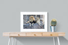 Lion & Lioness-Wall_Art-80 x 60cm-Framed Print-White-Pixalot