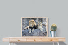 Lion & Lioness-Wall_Art-80 x 60cm-Mounted Canvas-Wood-Pixalot