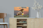 Lion Sunset-Wall_Art-60 x 45cm-Mounted Canvas-No Frame-Pixalot