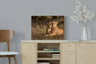 Lioness & Cub-Wall_Art-60 x 45cm-Mounted Canvas-No Frame-Pixalot