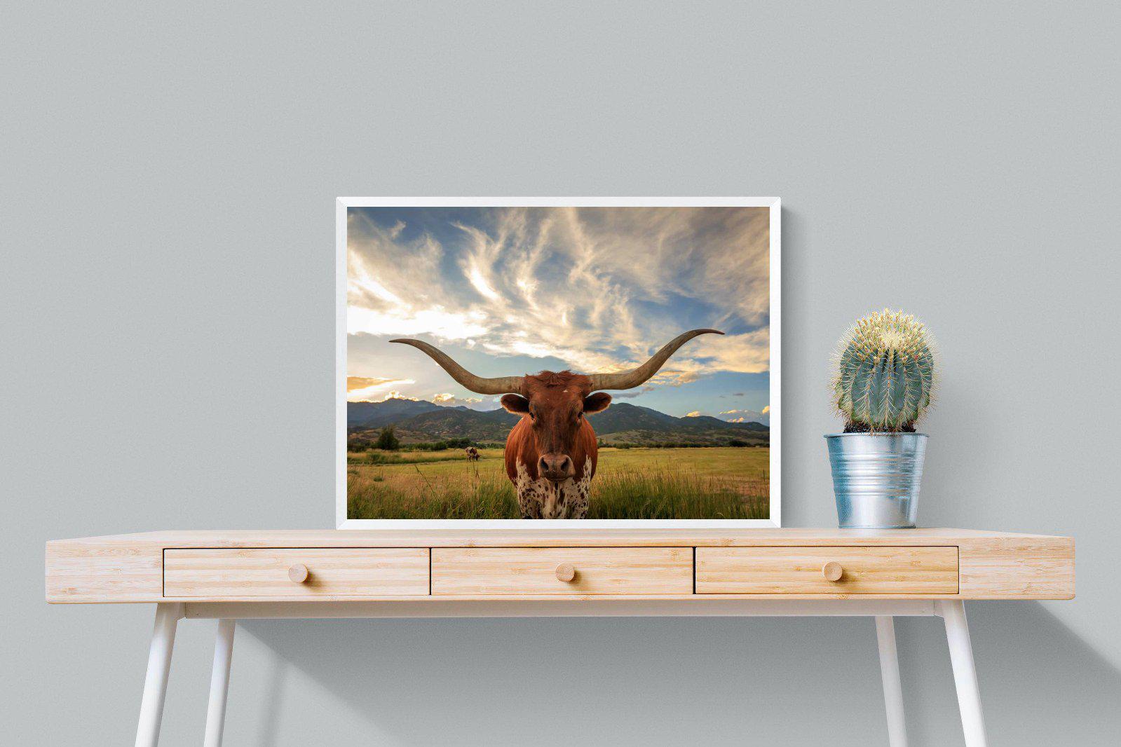 Long Horn-Wall_Art-80 x 60cm-Mounted Canvas-White-Pixalot