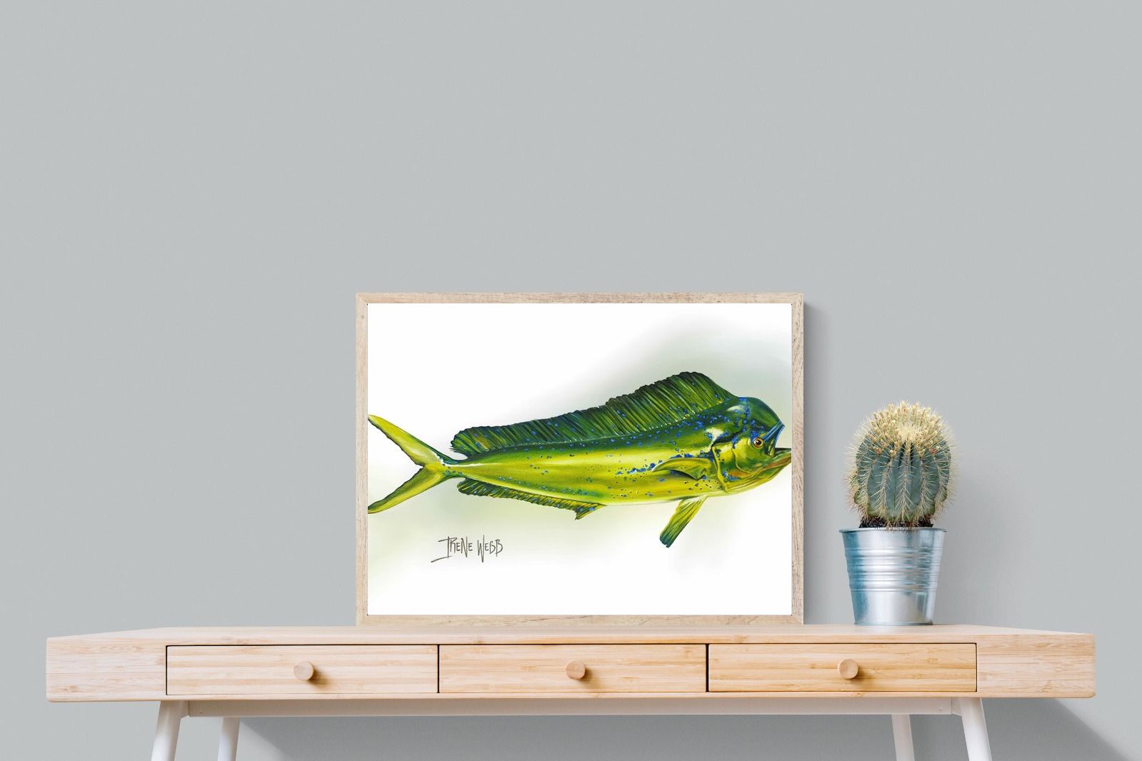 Mahi Mahi-Wall_Art-80 x 60cm-Mounted Canvas-Wood-Pixalot